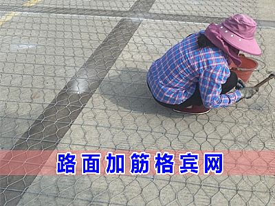 路面加筋格賓網